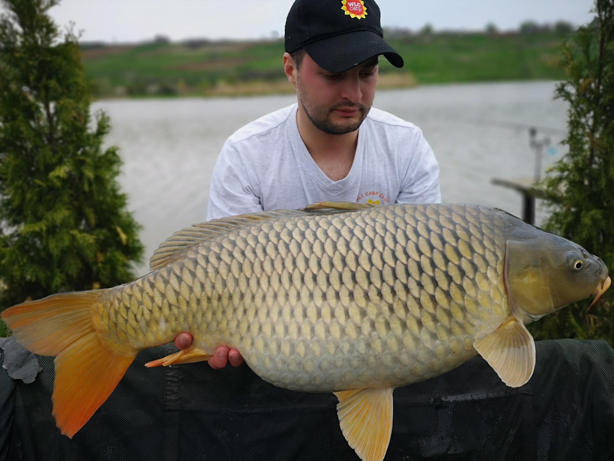 Păușești - img20190421181027.jpg